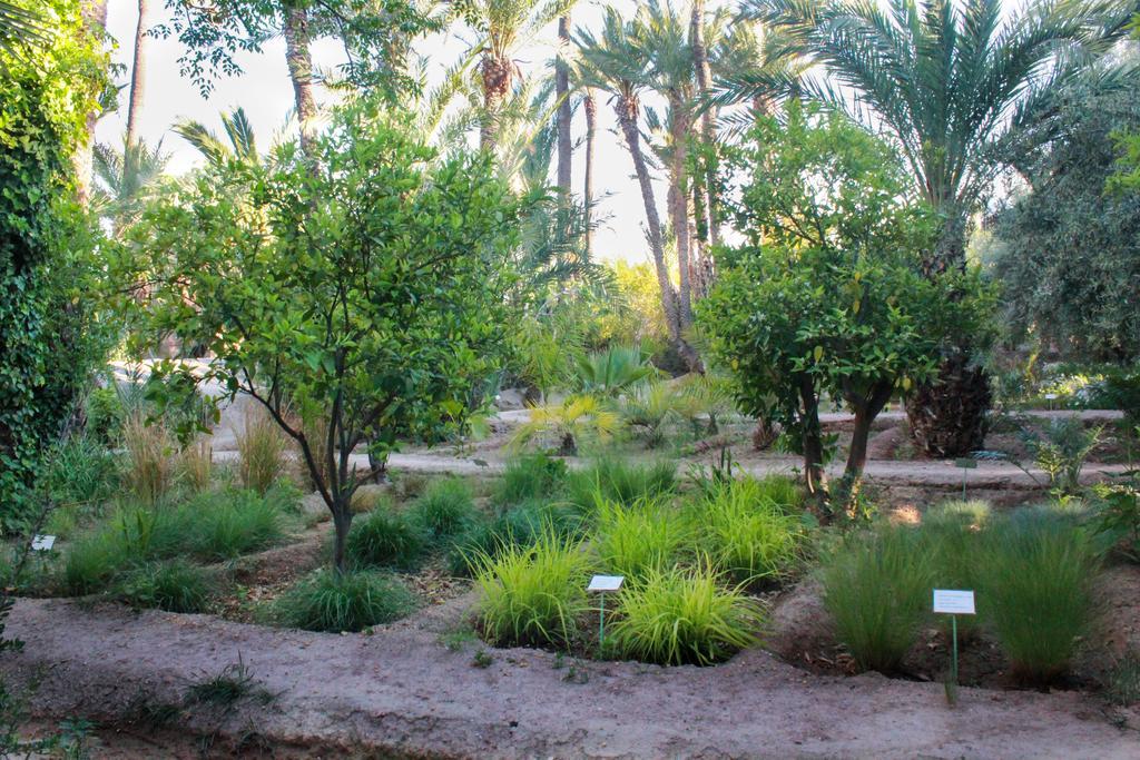 Hotel Jnane Tamsna Marrakesh Exterior foto