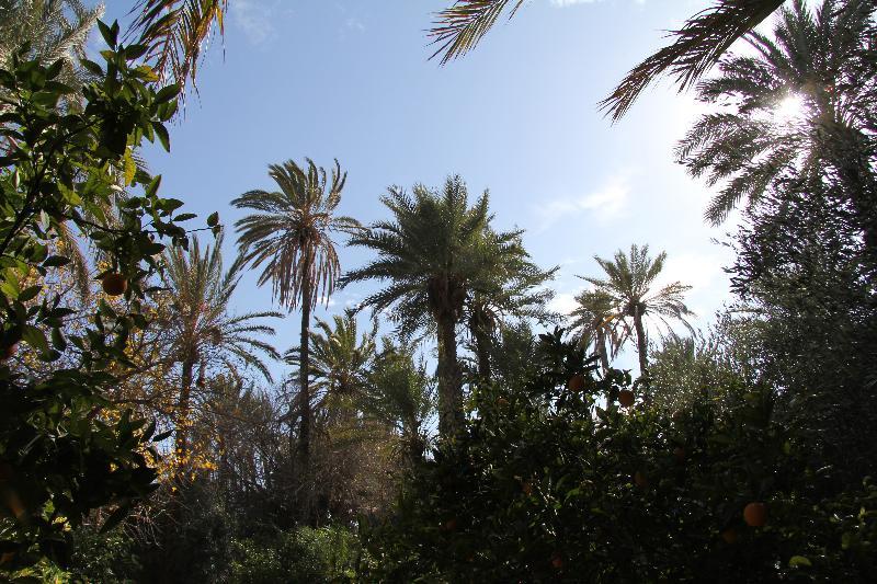 Hotel Jnane Tamsna Marrakesh Exterior foto
