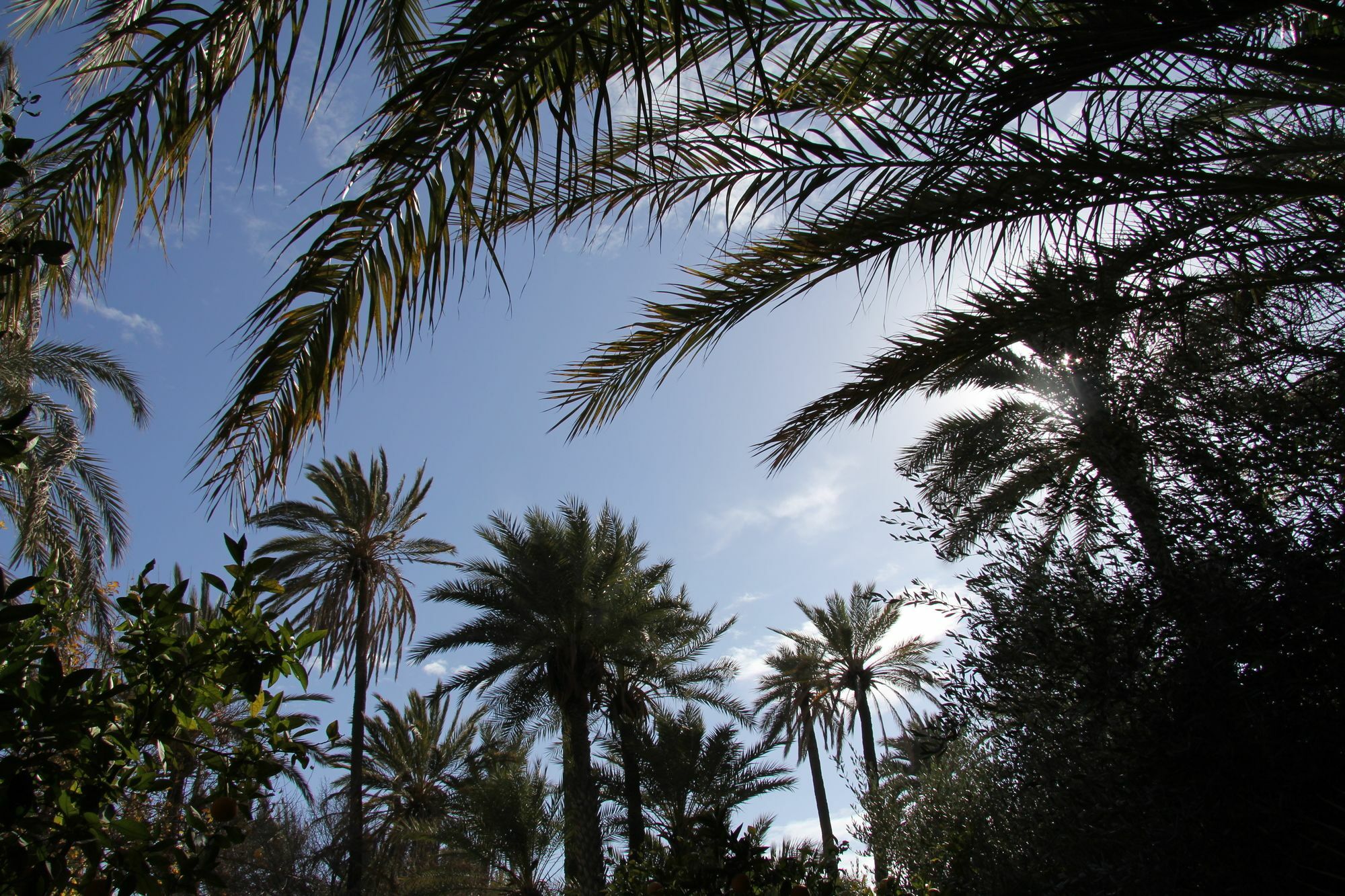 Hotel Jnane Tamsna Marrakesh Exterior foto